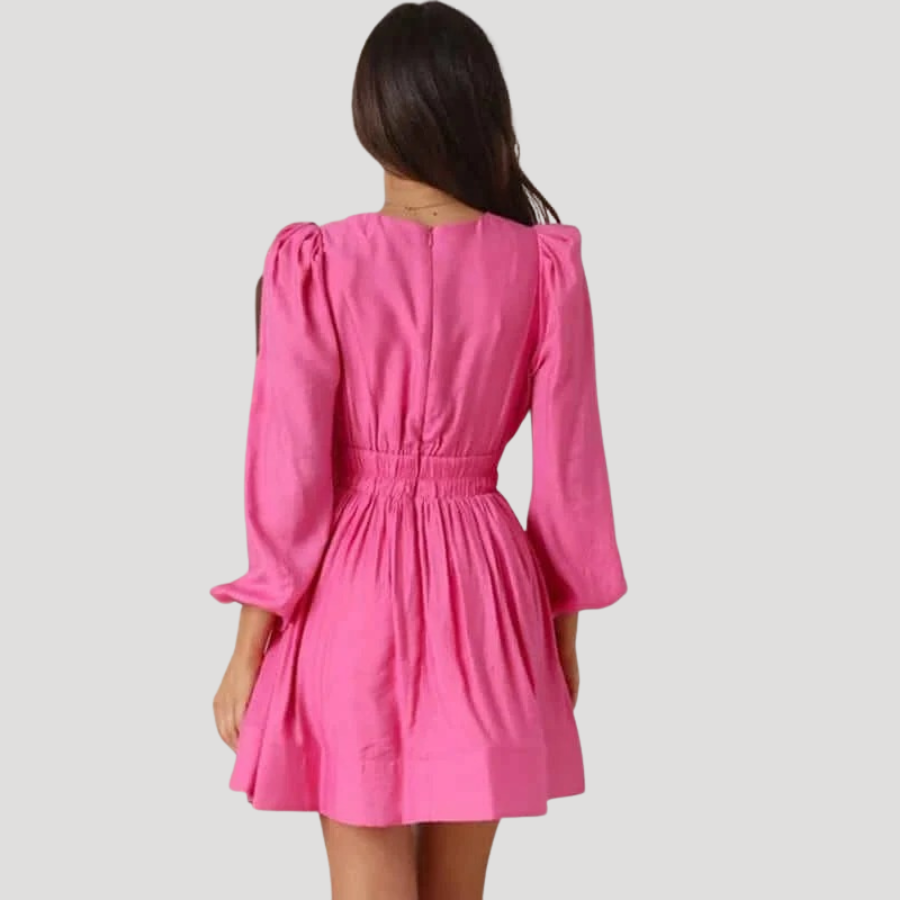 Women's Mini Dress Long Sleeve V Neck Fit And Flare