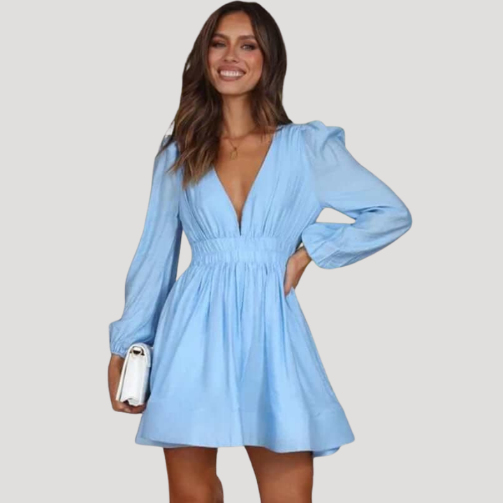 Women's Mini Dress Long Sleeve V Neck Fit And Flare