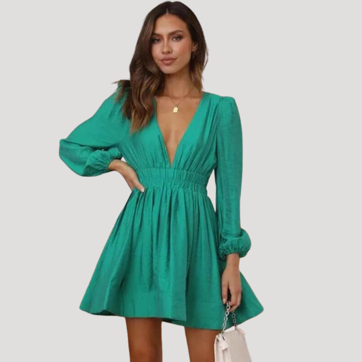 Women's Mini Dress Long Sleeve V Neck Fit And Flare